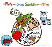 Alimentacion saludable