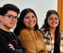 Participar, pero no tanto. Por: Katheryn Miranda, Francisco Cardozo y Josefa Saldivia.